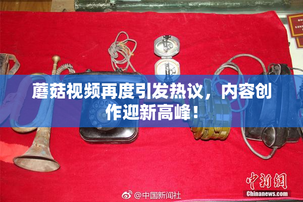蘑菇视频再度引发热议，内容创作迎新高峰！