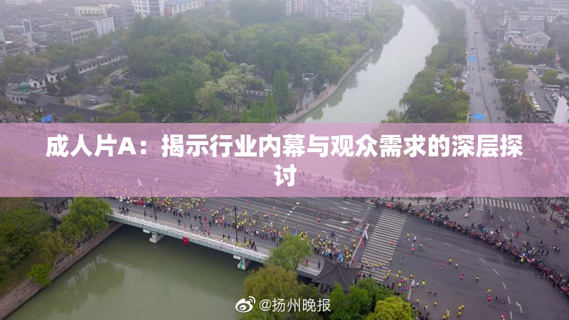 成人片A：揭示行业内幕与观众需求的深层探讨