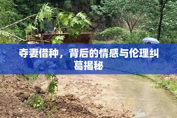 夺妻借种，背后的情感与伦理纠葛揭秘