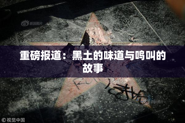 重磅报道：黑土的味道与鸣叫的故事