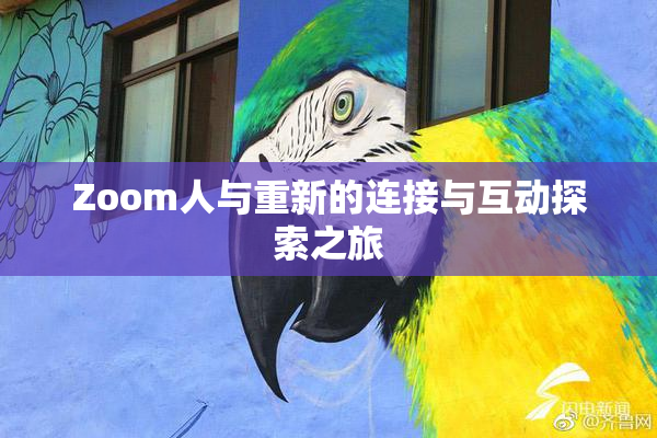 Zoom人与重新的连接与互动探索之旅