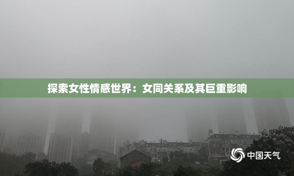 探索女性情感世界：女同关系及其巨重影响