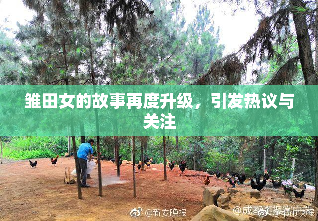 雏田女的故事再度升级，引发热议与关注