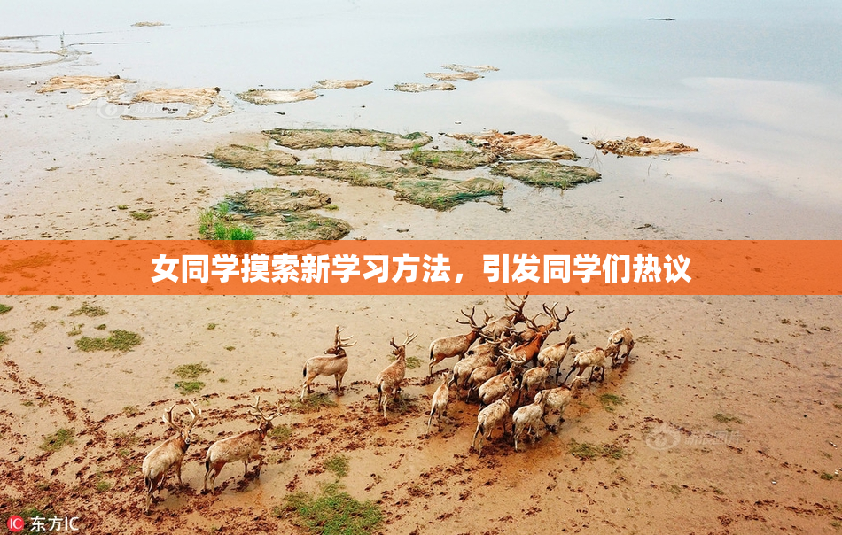 女同学摸索新学习方法，引发同学们热议