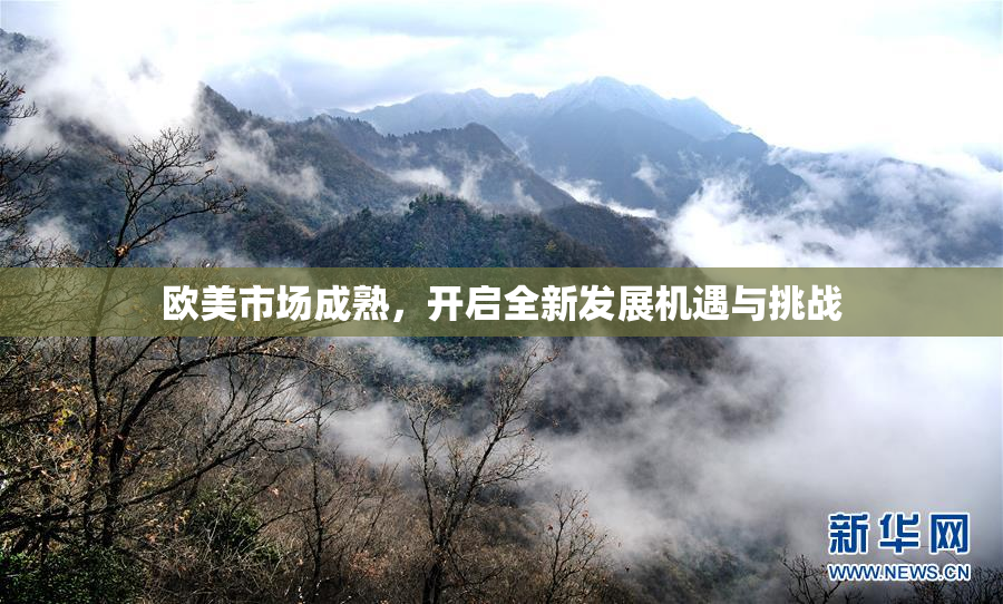 欧美市场成熟，开启全新发展机遇与挑战