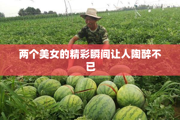 两个美女的精彩瞬间让人陶醉不已