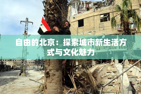 自由的北京：探索城市新生活方式与文化魅力