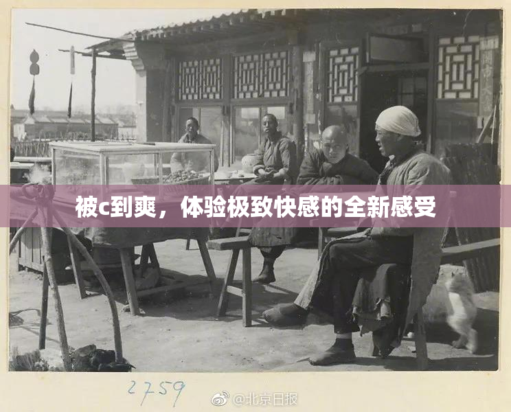 被c到爽，体验极致快感的全新感受