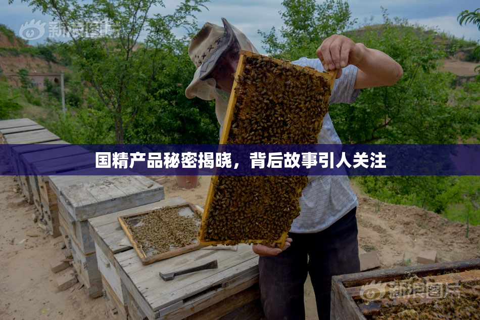 国精产品秘密揭晓，背后故事引人关注