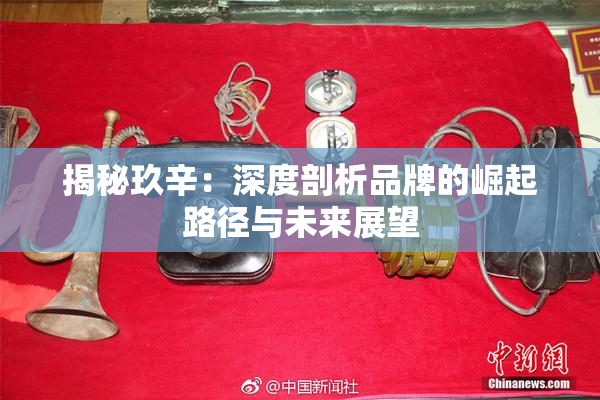 揭秘玖辛：深度剖析品牌的崛起路径与未来展望