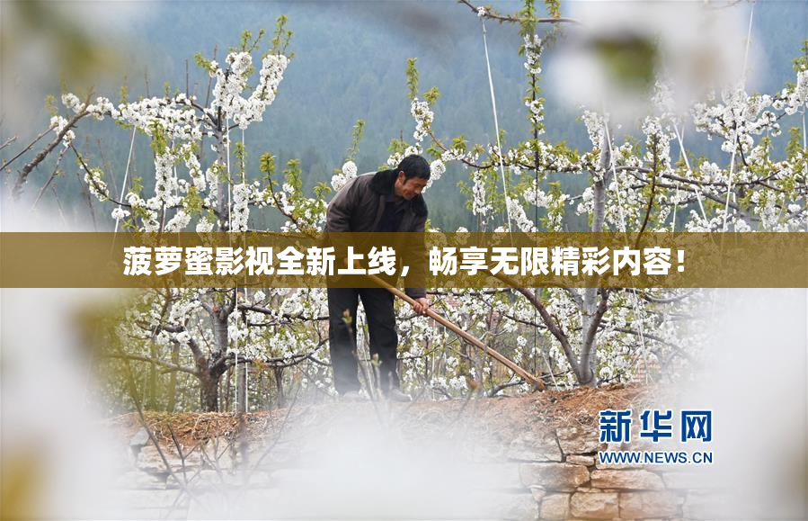 菠萝蜜影视全新上线，畅享无限精彩内容！