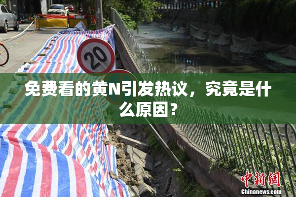 免费看的黄Ν引发热议，究竟是什么原因？