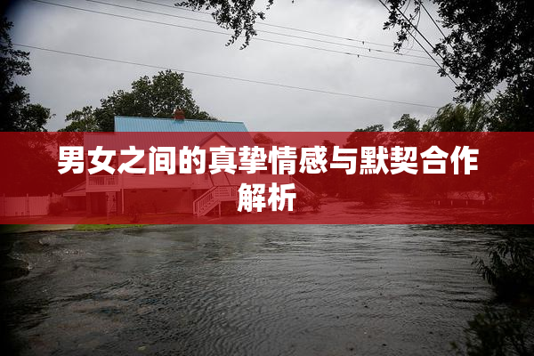 男女之间的真挚情感与默契合作解析