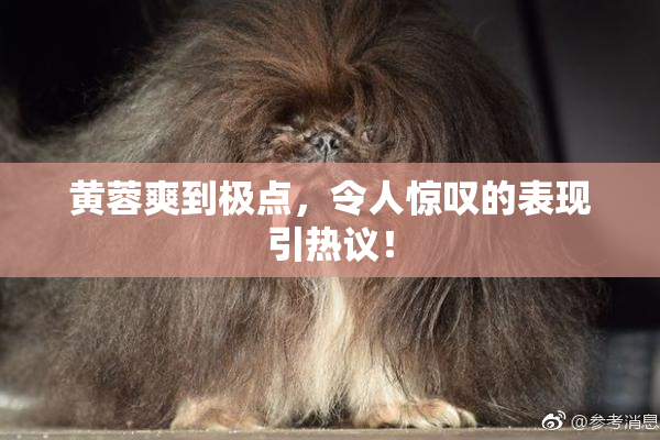 黄蓉爽到极点，令人惊叹的表现引热议！