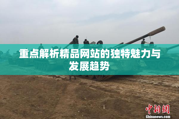 重点解析精品网站的独特魅力与发展趋势