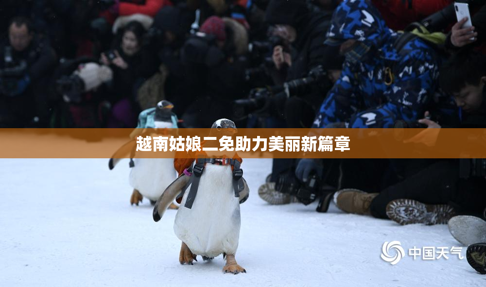 越南姑娘二免助力美丽新篇章
