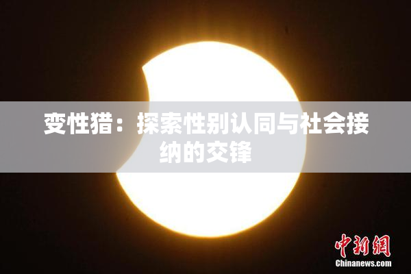 变性猎：探索性别认同与社会接纳的交锋