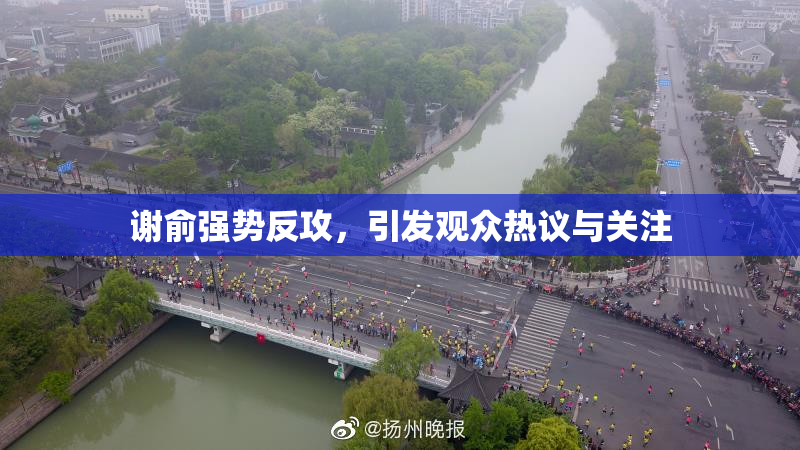 谢俞强势反攻，引发观众热议与关注