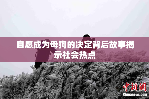 自愿成为母狗的决定背后故事揭示社会热点