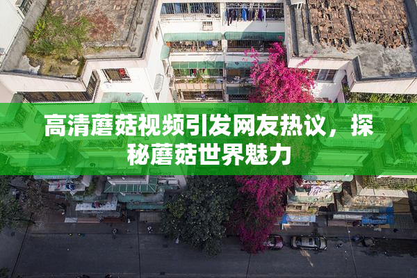 高清蘑菇视频引发网友热议，探秘蘑菇世界魅力