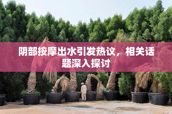 阴部按摩出水引发热议，相关话题深入探讨