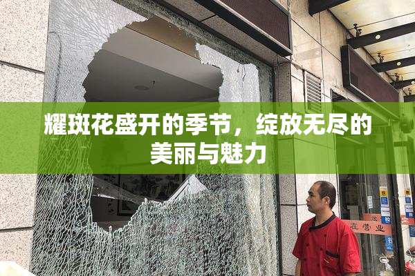 耀斑花盛开的季节，绽放无尽的美丽与魅力