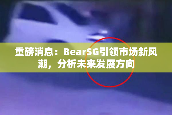 重磅消息：BearSG引领市场新风潮，分析未来发展方向