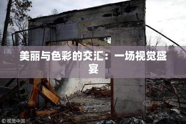 美丽与色彩的交汇：一场视觉盛宴