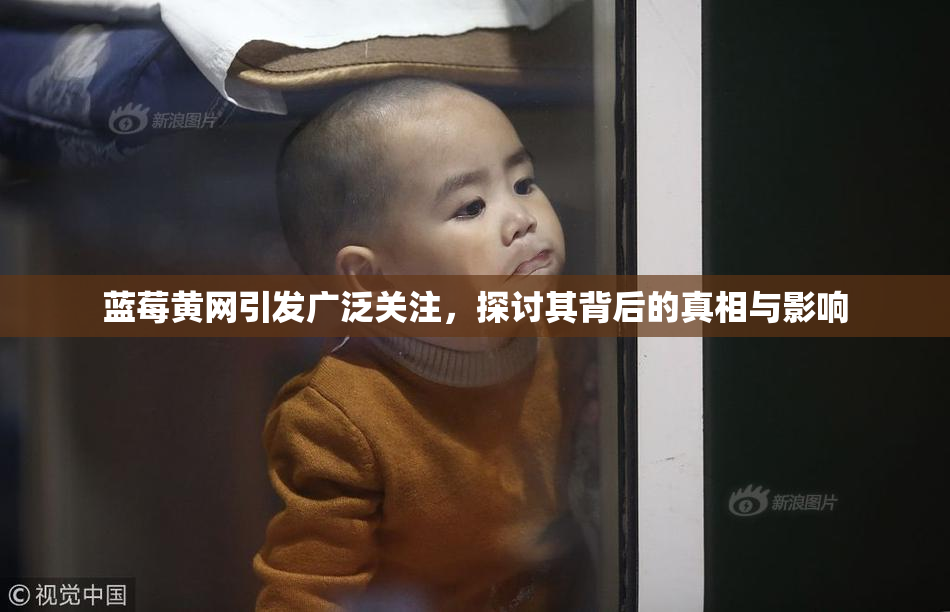 蓝莓黄网引发广泛关注，探讨其背后的真相与影响