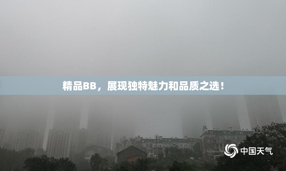 精品BB，展现独特魅力和品质之选！
