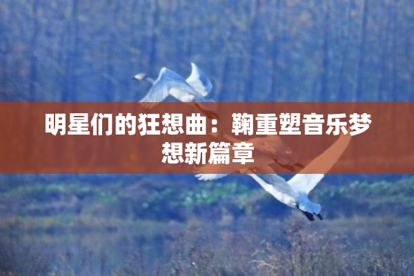 明星们的狂想曲：鞠重塑音乐梦想新篇章