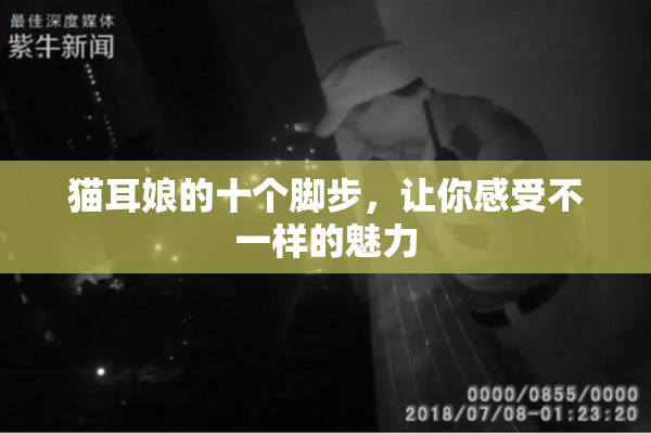 猫耳娘的十个脚步，让你感受不一样的魅力