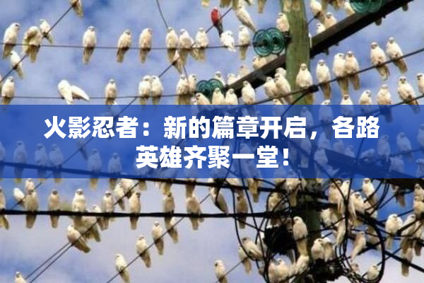 火影忍者：新的篇章开启，各路英雄齐聚一堂！