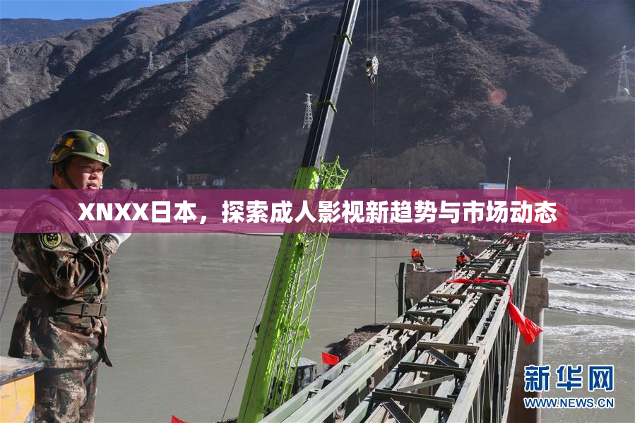 XNXX日本，探索成人影视新趋势与市场动态