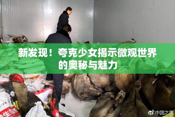 新发现！夸克少女揭示微观世界的奥秘与魅力
