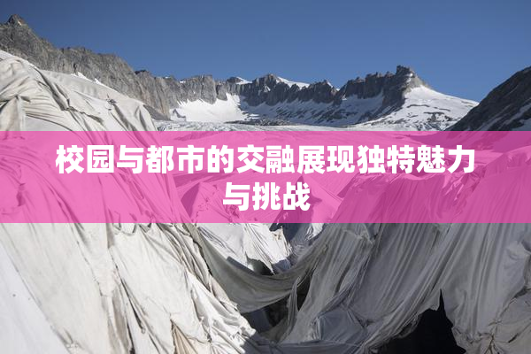 校园与都市的交融展现独特魅力与挑战
