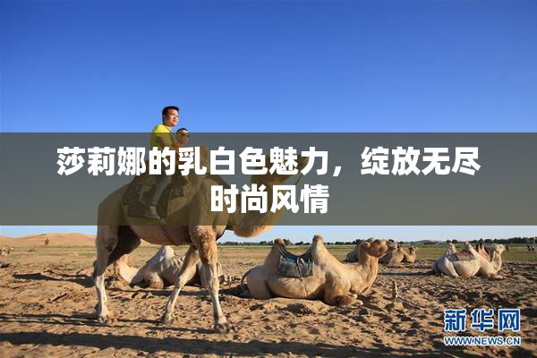 莎莉娜的乳白色魅力，绽放无尽时尚风情