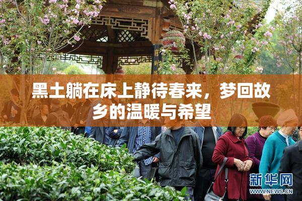黑土躺在床上静待春来，梦回故乡的温暖与希望