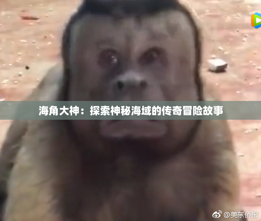 海角大神：探索神秘海域的传奇冒险故事