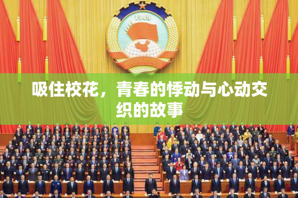 吸住校花，青春的悸动与心动交织的故事