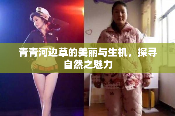 青青河边草的美丽与生机，探寻自然之魅力