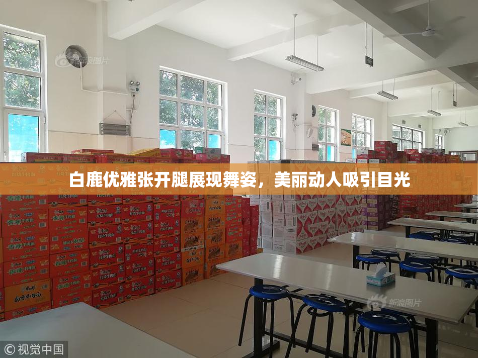 白鹿优雅张开腿展现舞姿，美丽动人吸引目光