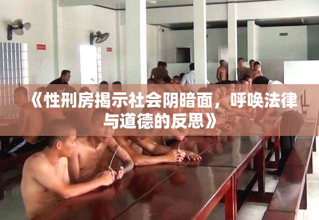 《性刑房揭示社会阴暗面，呼唤法律与道德的反思》