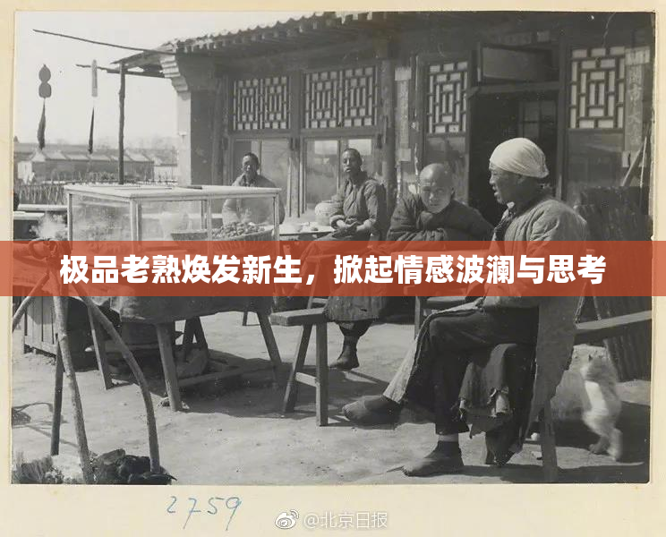 极品老熟焕发新生，掀起情感波澜与思考
