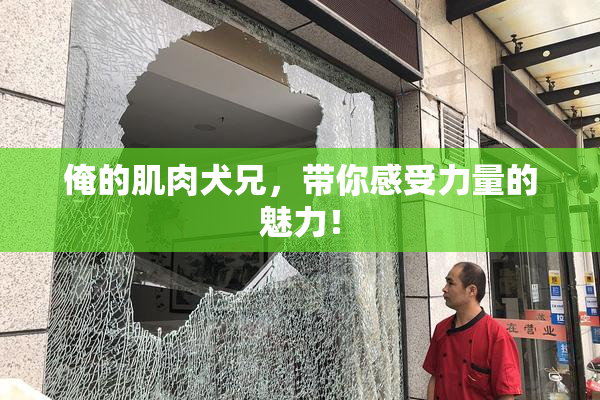 俺的肌肉犬兄，带你感受力量的魅力！