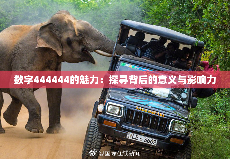 数字444444的魅力：探寻背后的意义与影响力