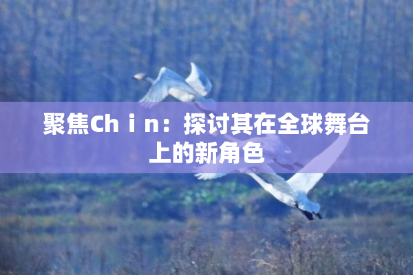 聚焦Chⅰn：探讨其在全球舞台上的新角色
