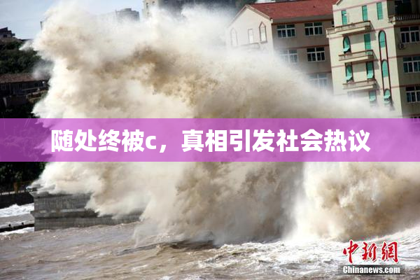 随处终被c，真相引发社会热议