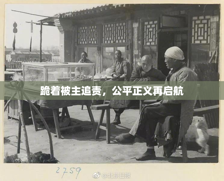 跪着被主追责，公平正义再启航
