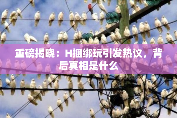 重磅揭晓：H捆绑玩引发热议，背后真相是什么